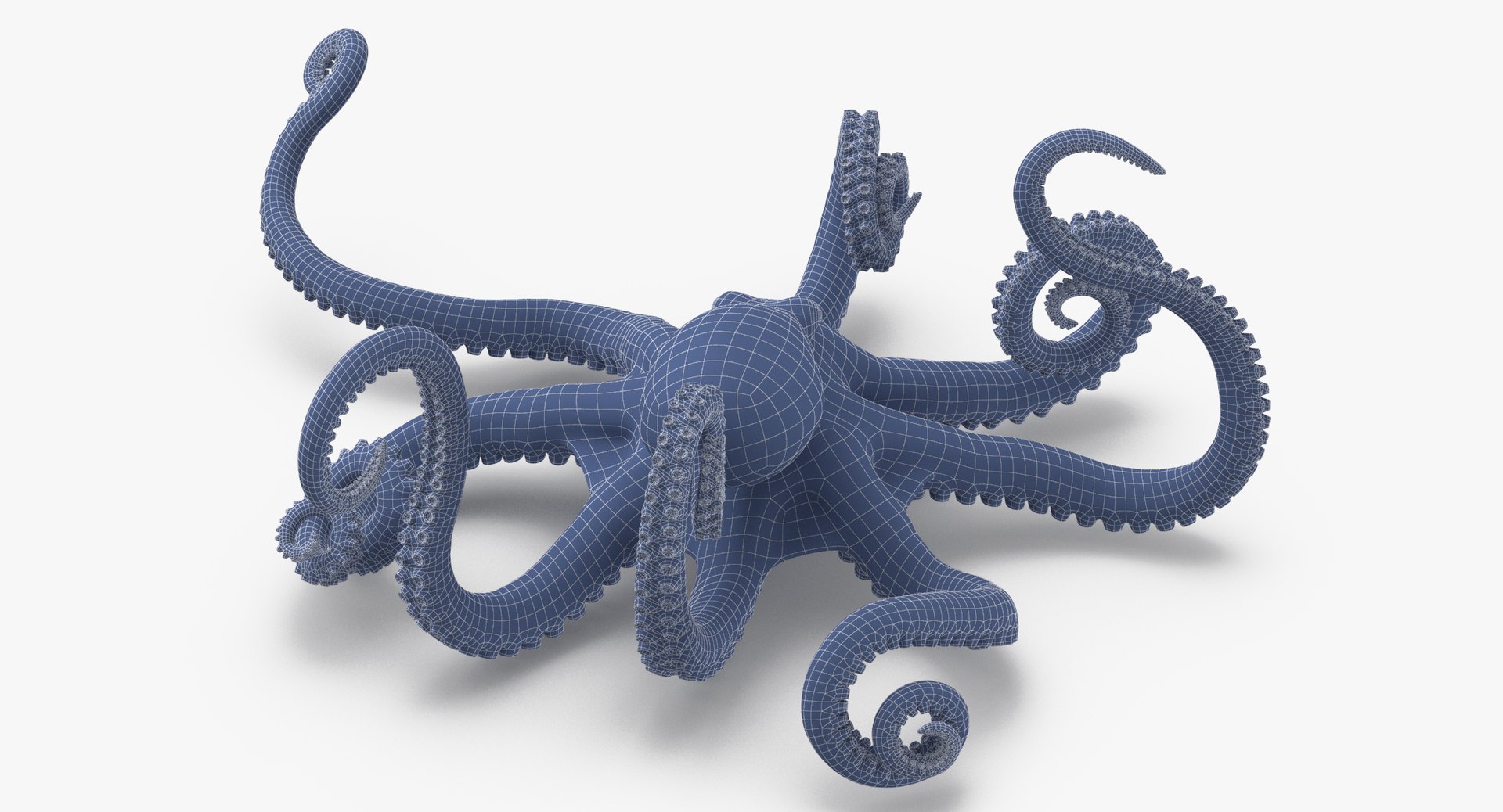 3D sea animals 01 https://p.turbosquid.com/ts-thumb/wR/uj5lMF/XxEh2pPT/octopus_pixelsquid_signaturepose_001_wireframe_0004/jpg/1499166265/1920x1080/fit_q87/ec519aa181aaf12bcc005a05cb59f479c0eb8bb3/octopus_pixelsquid_signaturepose_001_wireframe_0004.jpg
