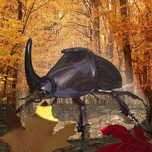 Rhinoceros Beetle RIGGED