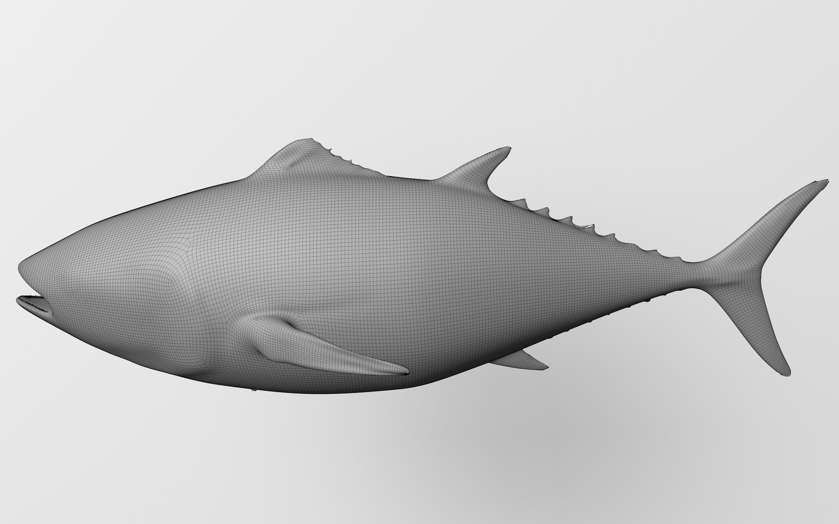 TUNA FISH Rigged  L1896 3D model https://p.turbosquid.com/ts-thumb/wS/9aODBJ/TC/50_0000/png/1671573536/1920x1080/fit_q87/02b0a254db2402efd3a5fe1f60cd1153c4049aef/50_0000.jpg