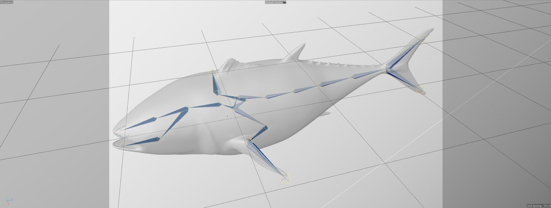 TUNA FISH Rigged  L1896 3D model https://p.turbosquid.com/ts-thumb/wS/9aODBJ/aB/73/png/1671573552/1920x1080/fit_q87/ee1404330dc42466898ef4efd62f4b16892c2fd0/73.jpg