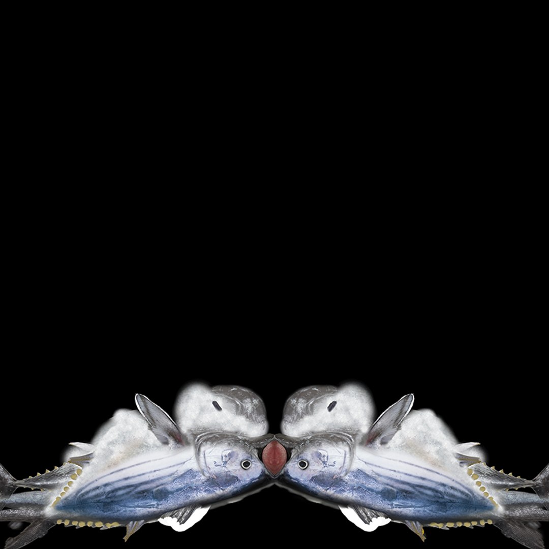 TUNA FISH Rigged  L1896 3D model https://p.turbosquid.com/ts-thumb/wS/9aODBJ/dA/uv/png/1671573495/1920x1080/fit_q87/ff69b2275c316bfab7b9b30e0bc1644205376a88/uv.jpg