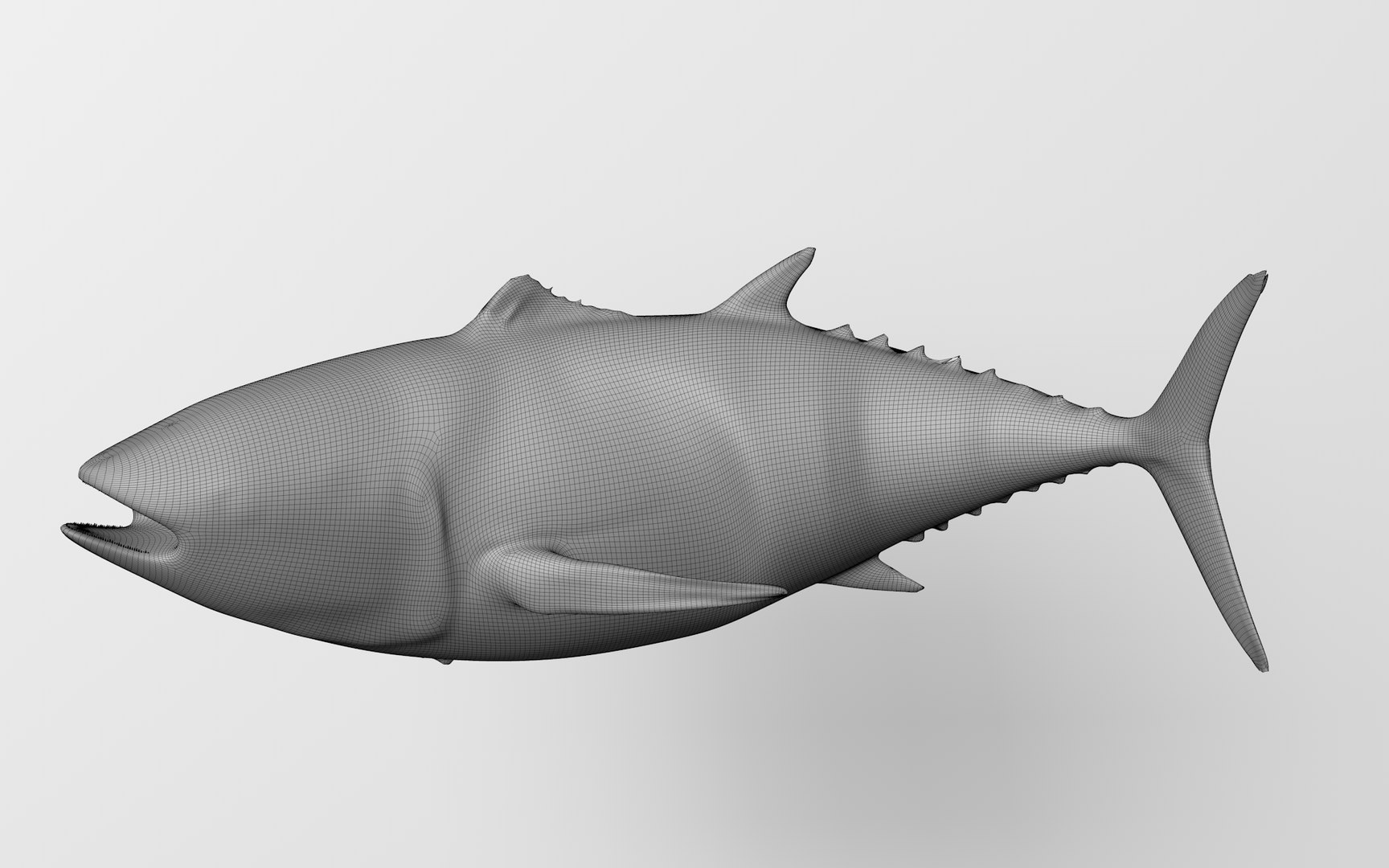 TUNA FISH Rigged  L1896 3D model https://p.turbosquid.com/ts-thumb/wS/9aODBJ/j2/55_0028/png/1671573532/1920x1080/fit_q87/559cff0fcdb971b473a22f2c9ab70b40f5b15a5f/55_0028.jpg