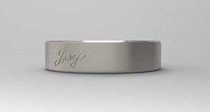 Joy Ring Platinum 3D model