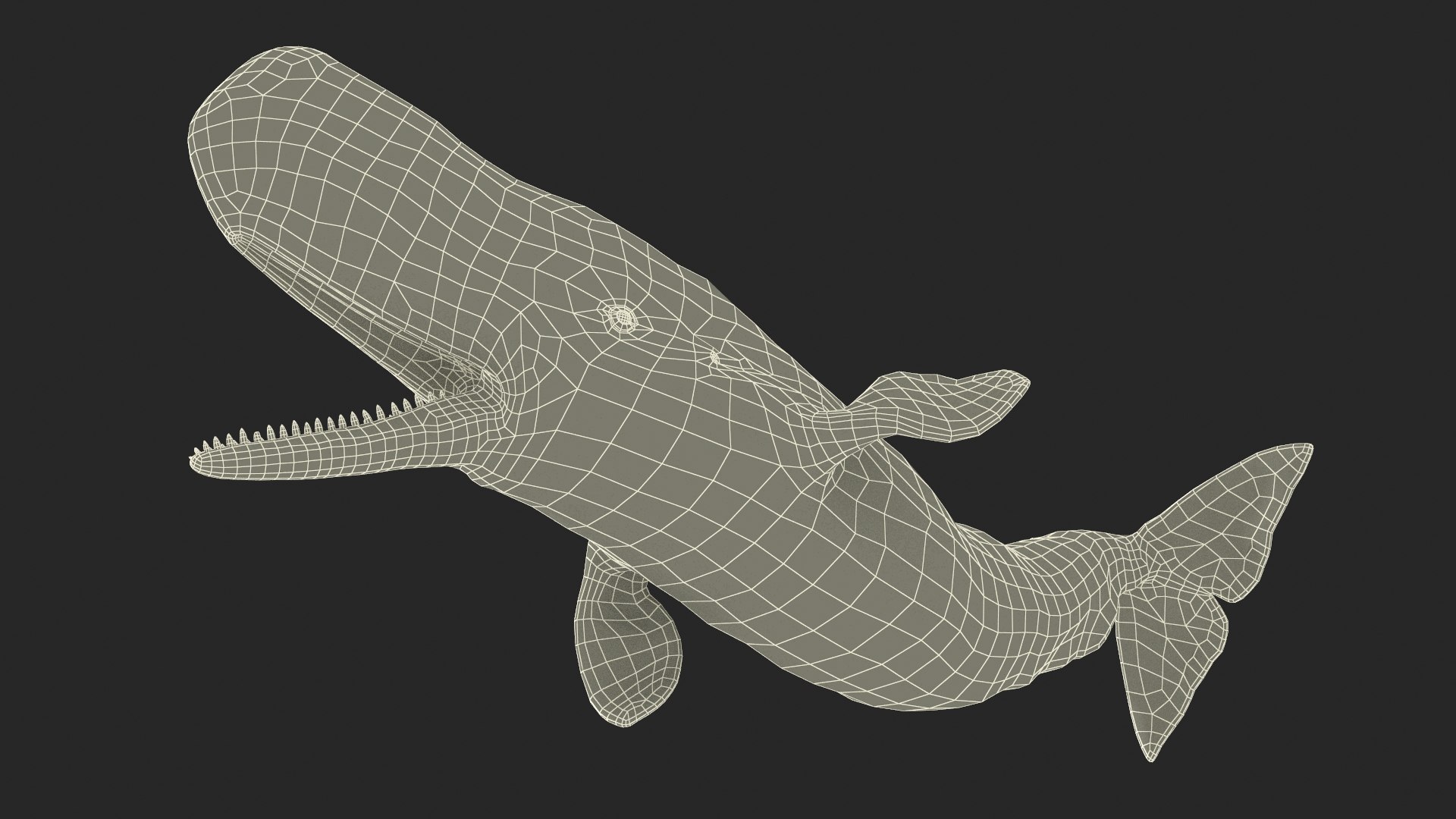 3D Cachalot Rigged for Cinema 4D https://p.turbosquid.com/ts-thumb/wS/ljQdP9/RW/reproduction__cachalot_rigged_038/jpg/1703516684/1920x1080/fit_q87/09ba13d79458f5c95b041266173de1f10d1e3b30/reproduction__cachalot_rigged_038.jpg