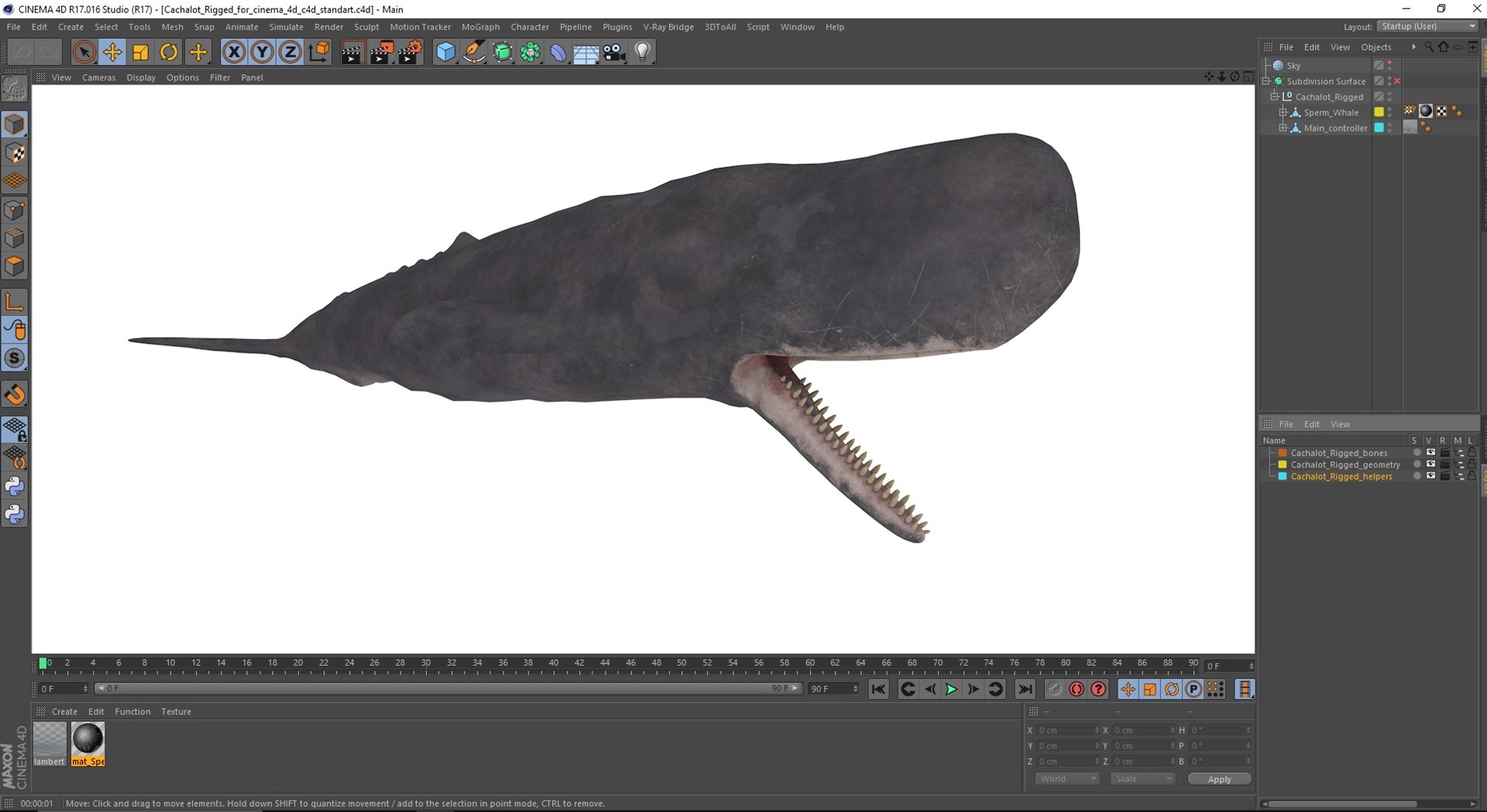 3D Cachalot Rigged for Cinema 4D https://p.turbosquid.com/ts-thumb/wS/ljQdP9/Yt/cachalotriggedforcinema4dvray3dmodel034/jpg/1698872716/1920x1080/fit_q87/43f593a0f33830e9eb0fa652efa71dcc502829f1/cachalotriggedforcinema4dvray3dmodel034.jpg