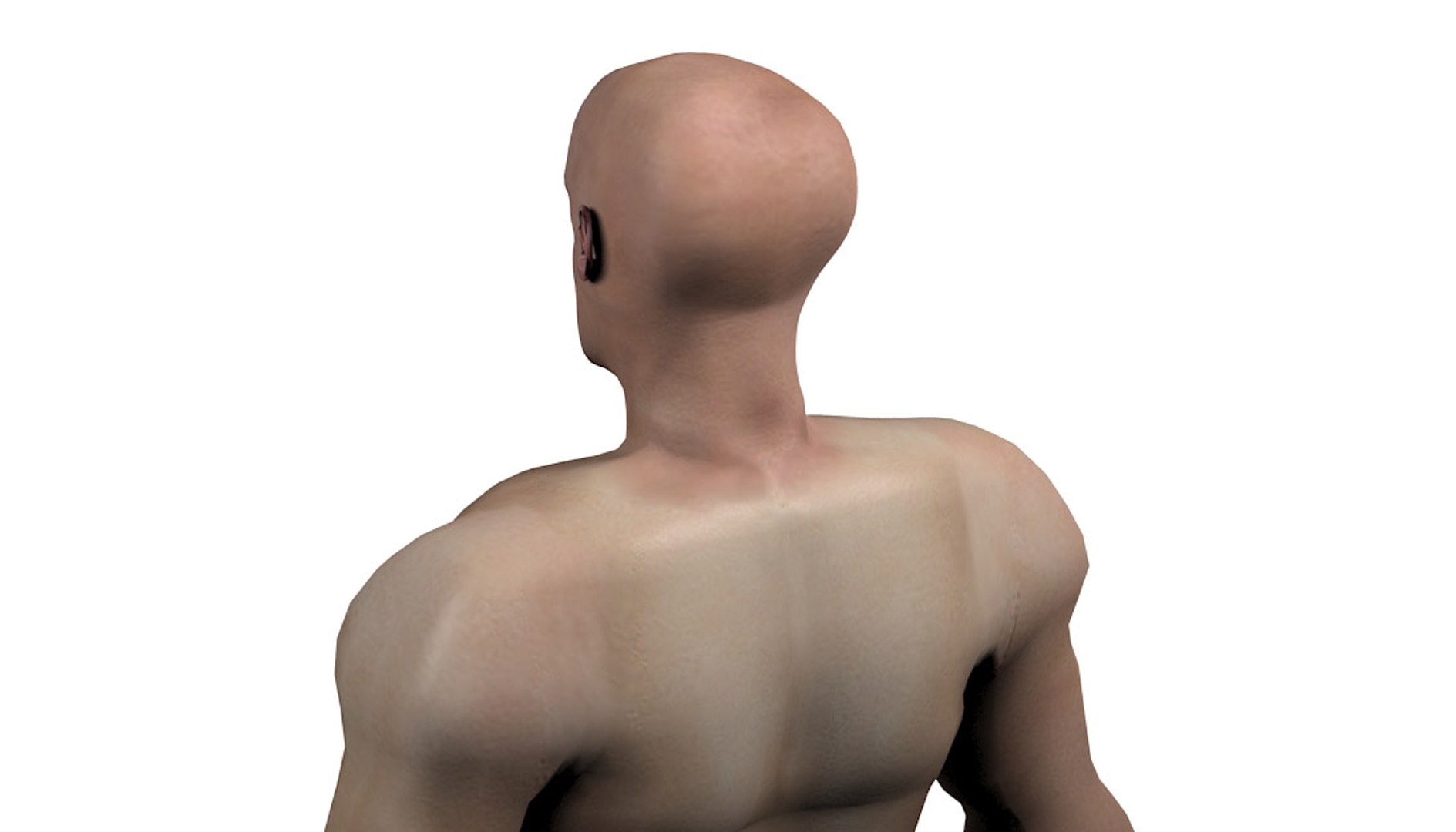 3ds Max Human Character Bold Man