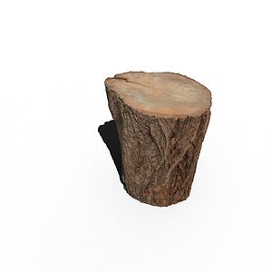 3D model scanning trunk