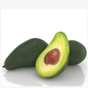 avocado slice health 3D model
