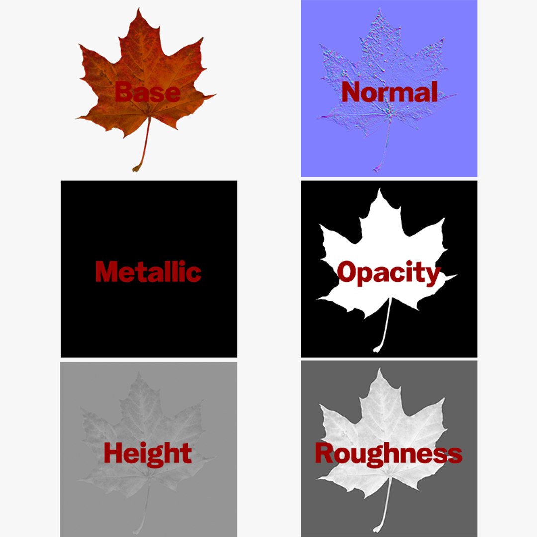 3D Maple Tree Set 02 - TurboSquid 2381057