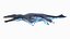 3D liopleurodon