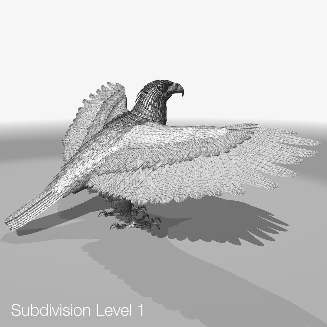 3d model golden eagle https://p.turbosquid.com/ts-thumb/wT/FFMwyq/0Oi6Q6L5/eaglewireframehi03/jpg/1377121372/1920x1080/fit_q87/b510db5ebf0f2afc1ad4afefa317e3af42983e6e/eaglewireframehi03.jpg