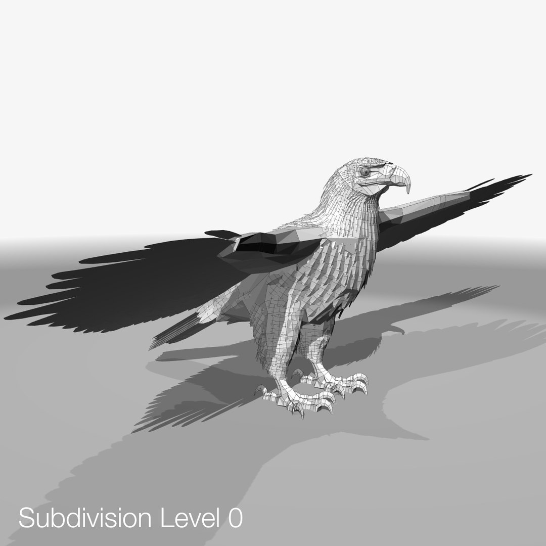 3d model golden eagle https://p.turbosquid.com/ts-thumb/wT/FFMwyq/1hprNe1F/eaglewireframelow02/jpg/1377121388/1920x1080/fit_q87/bcaffa14ced74318b664fb61196abba512f32e0e/eaglewireframelow02.jpg