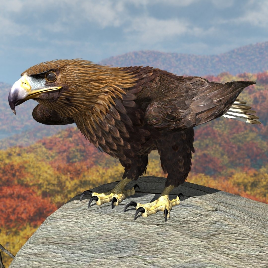 3d model golden eagle https://p.turbosquid.com/ts-thumb/wT/FFMwyq/CBEK5Qlg/cam3308/jpg/1377052637/1920x1080/fit_q87/b68dd7046434faaf4bfa2675f1dccec5faaf5289/cam3308.jpg