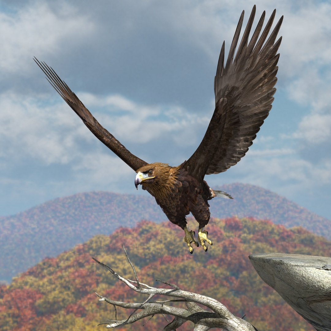 3d model golden eagle https://p.turbosquid.com/ts-thumb/wT/FFMwyq/HIFV9JMy/cam4449/jpg/1377052688/1920x1080/fit_q87/82bae3221ac9c035b3be0525a1cc3a19525adad5/cam4449.jpg