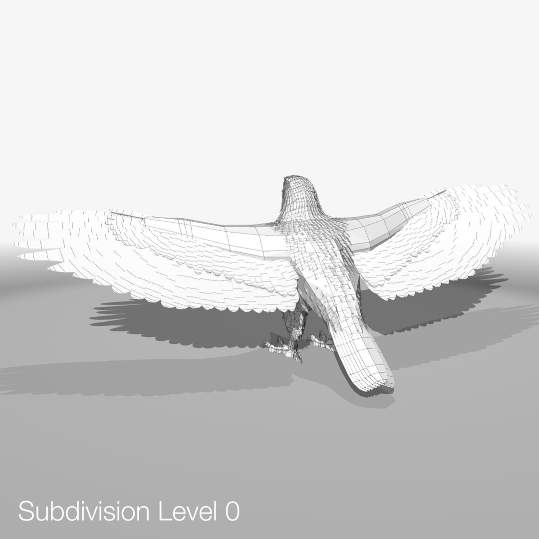 3d model golden eagle https://p.turbosquid.com/ts-thumb/wT/FFMwyq/PRMlVHKm/eaglewireframelow04/jpg/1377121399/1920x1080/fit_q87/e42f6ddf7626374672a06b6c429c1d327b832830/eaglewireframelow04.jpg