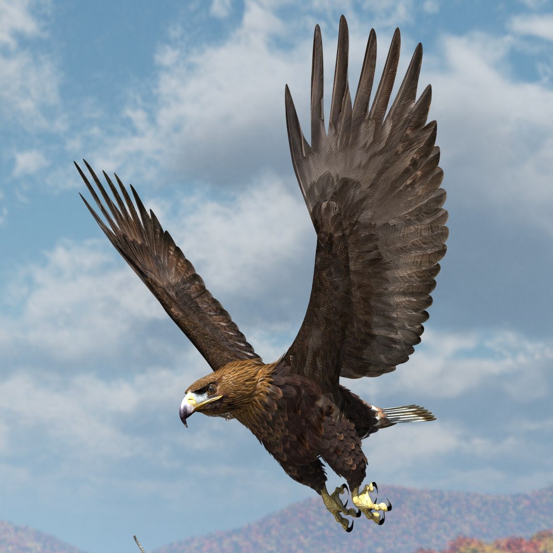3d model golden eagle https://p.turbosquid.com/ts-thumb/wT/FFMwyq/Poe3hgFJ/cam3443/jpg/1377052658/1920x1080/fit_q87/5e213be1ed16dbea66e9582fad17a97537b109df/cam3443.jpg