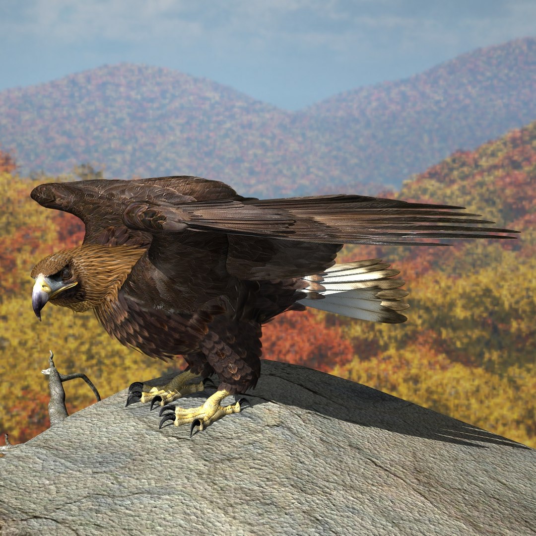 3d model golden eagle https://p.turbosquid.com/ts-thumb/wT/FFMwyq/Q5sAQSUs/cam1350/jpg/1377052584/1920x1080/fit_q87/0d3a040e4793e5c3eae831537ee5a0b723fa0574/cam1350.jpg