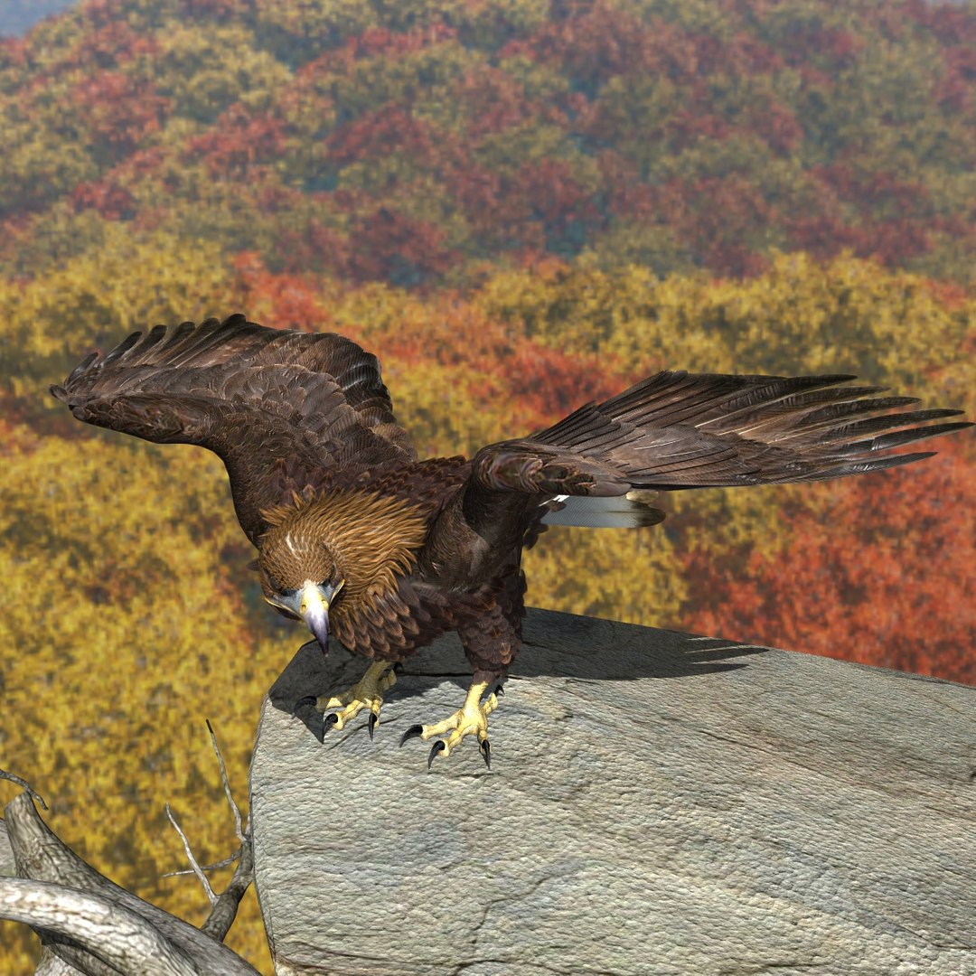 3d model golden eagle https://p.turbosquid.com/ts-thumb/wT/FFMwyq/S21qUiMq/cam3350/jpg/1377052651/1920x1080/fit_q87/bfb74f392fb78e1c52f6c2a46cd6b91e21e6346e/cam3350.jpg
