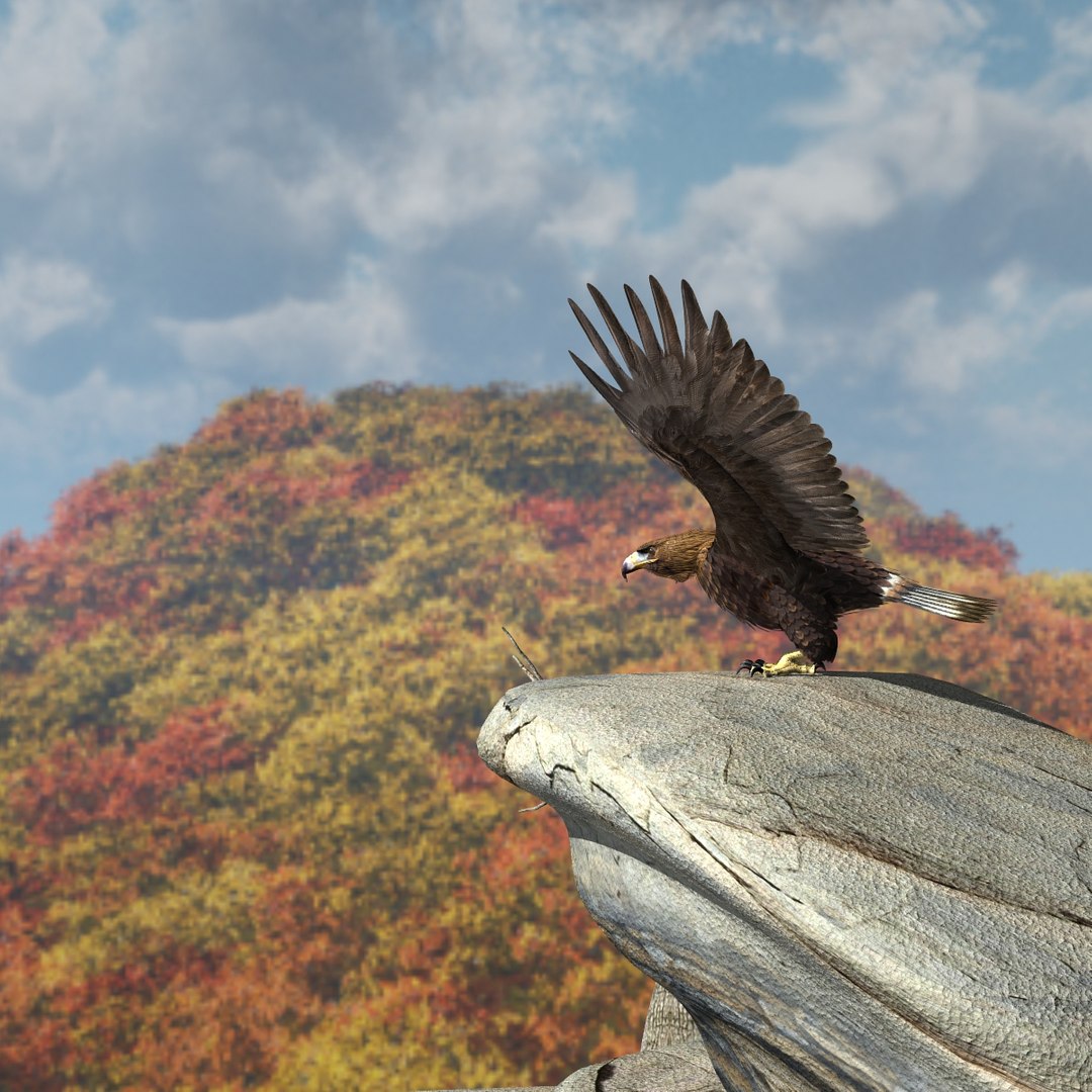 3d model golden eagle https://p.turbosquid.com/ts-thumb/wT/FFMwyq/X9nkmWjf/cam1419/jpg/1377052590/1920x1080/fit_q87/e5017c67f22979dc895cbf3989697444b73a5d55/cam1419.jpg