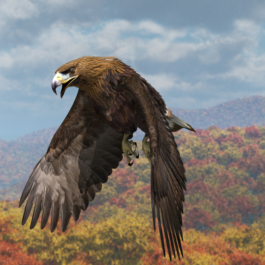 3d model golden eagle https://p.turbosquid.com/ts-thumb/wT/FFMwyq/YLxRbVUC/lwsequence/jpg/1377053991/1920x1080/turn_fit_q99/cc00567f09916e298f29bc2b3165ac3712ccf5fc/lwsequence-1.jpg