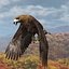 3d model golden eagle