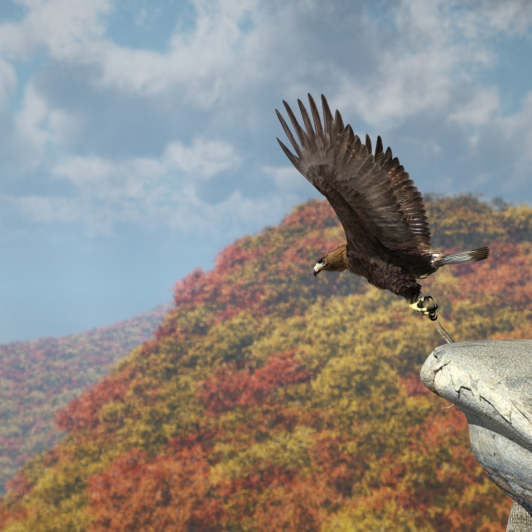 3d model golden eagle https://p.turbosquid.com/ts-thumb/wT/FFMwyq/n949kML4/cam1443/jpg/1377052595/1920x1080/fit_q87/4f1958f64255612a11d7a5bffada81f7688430fe/cam1443.jpg