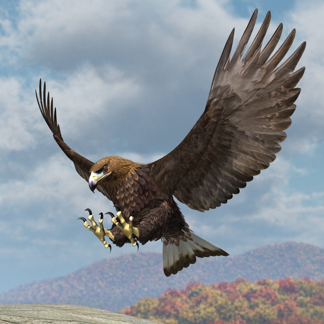 3d model golden eagle https://p.turbosquid.com/ts-thumb/wT/FFMwyq/uSZtuiUE/cam2292/jpg/1377052601/1920x1080/fit_q87/079210f6cf949e2d7e1729e3fe8ec9d1d9bc3592/cam2292.jpg
