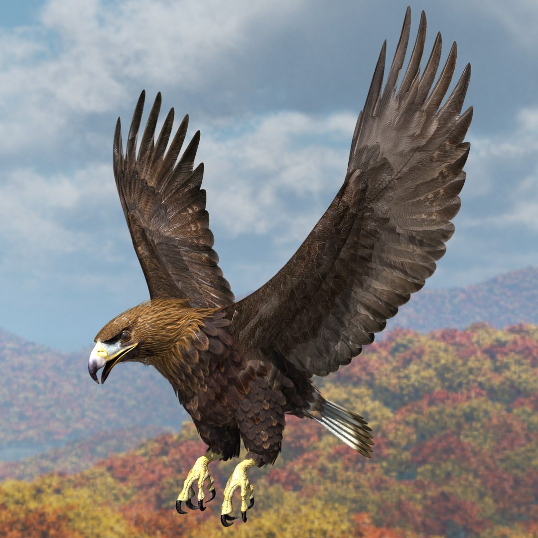 3d model golden eagle https://p.turbosquid.com/ts-thumb/wT/FFMwyq/umbjnijs/cam5275/jpg/1377052694/1920x1080/fit_q87/243a32602cd242ecdc62f36df95a22f24971a737/cam5275.jpg