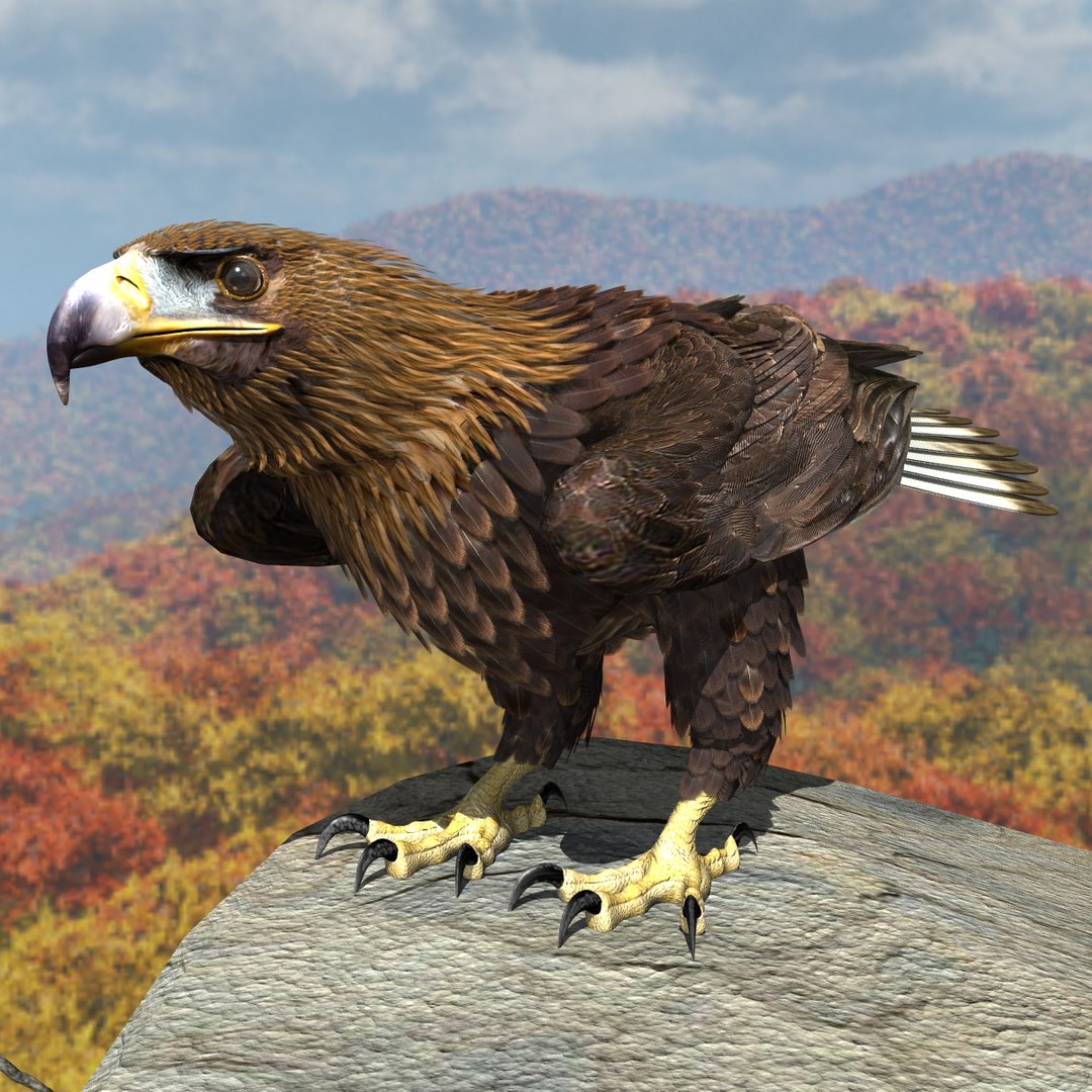 3d model golden eagle https://p.turbosquid.com/ts-thumb/wT/FFMwyq/wWm59ZMt/cam3311/jpg/1377052648/1920x1080/fit_q87/87884b53b0b5c2b0c751ecf46c8561cfa0fa8550/cam3311.jpg