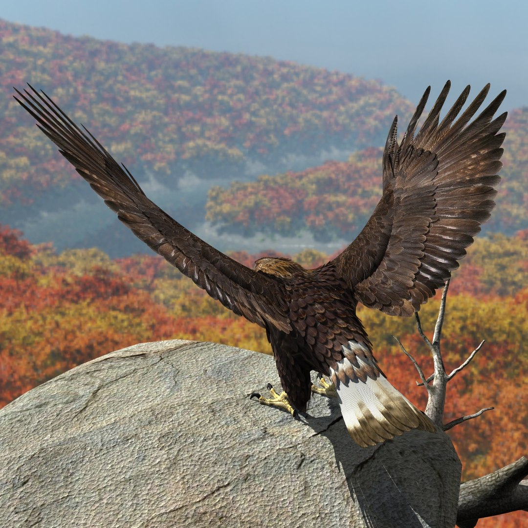 3d model golden eagle https://p.turbosquid.com/ts-thumb/wT/FFMwyq/zxv1MVSe/cam4419/jpg/1377052678/1920x1080/fit_q87/3f7c0e579000a36581f4b536b8b07c517ad03728/cam4419.jpg