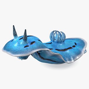 3D Blue Sea Slug Rigged model