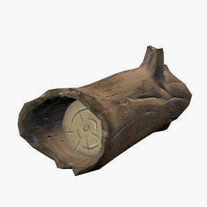 3D model Dry log