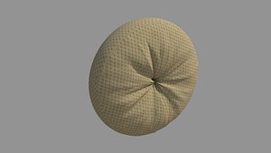 Sofa Pillow