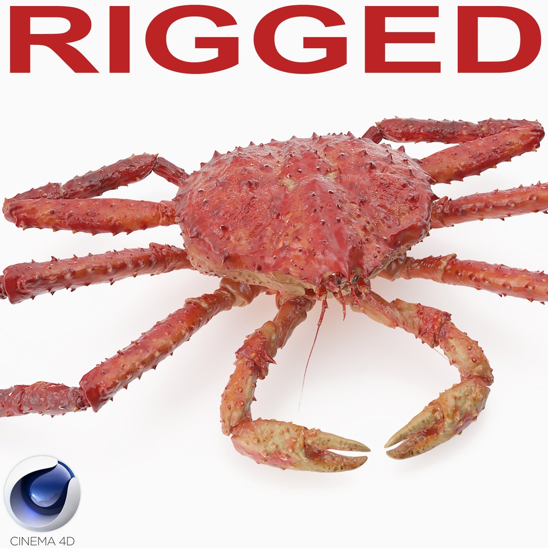 Red King Crab Rigged for Cinema 4D 3D model preview