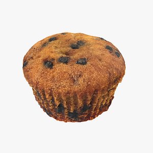 Chocolate Chip Muffin - Photo Scan model