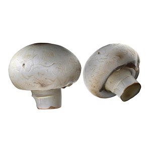 3D Mushroom 15