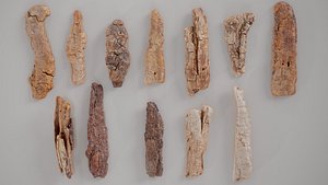 12 3D Scanned Big Wood Collection