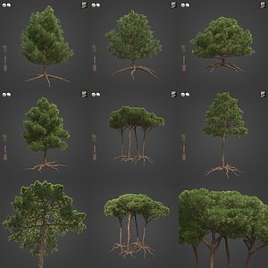 3D 2021 PBR Sea Pine Collection - Pinus Pinaster