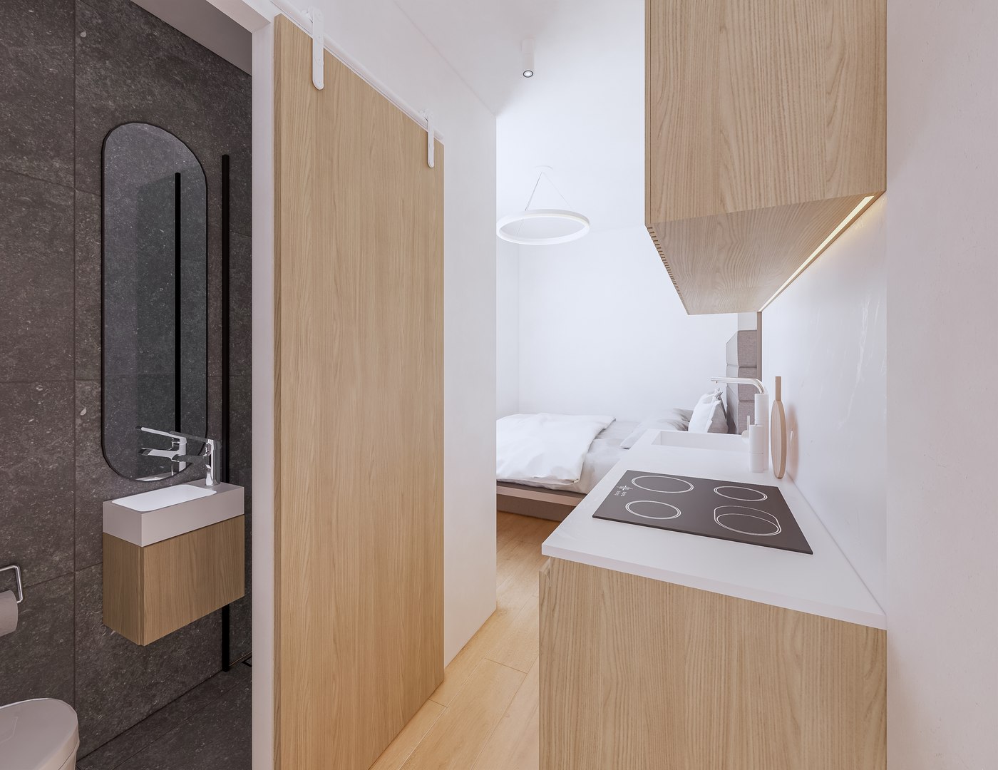 10 Square Meters Mini Apartment Created In Revit 3D Model 10-square-meters-mini-apartment-created-in-revit-3d-model
