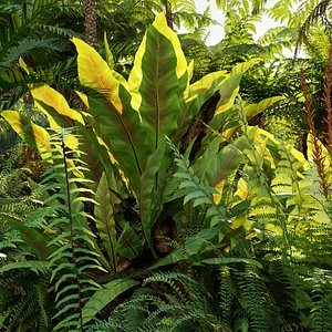 Bundle 09 - Fern garden