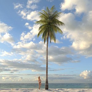 3d model of coconut palm tree