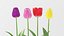realistic tulip flower 3D