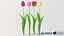 realistic tulip flower 3D