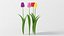 realistic tulip flower 3D