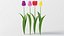 Flowers Bundle