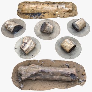 Rustic Stumps n Logs