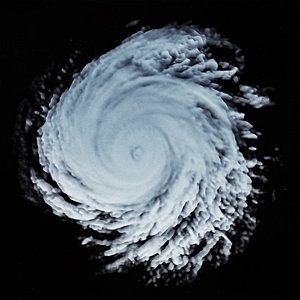 3D model storm 5