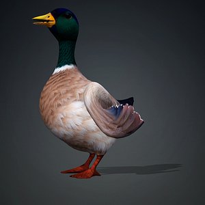 Duck-A2 3D model