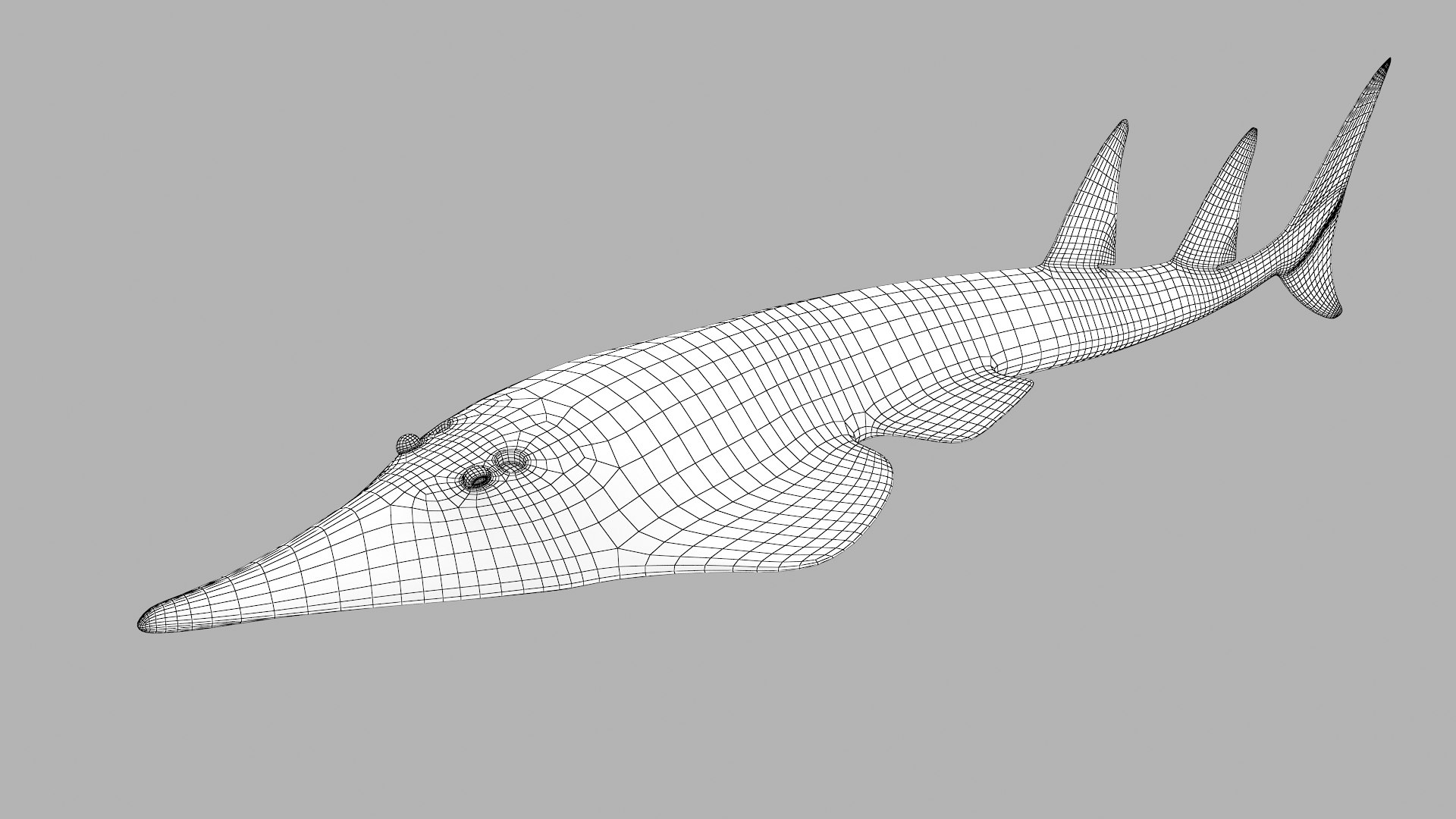 Giant Shovelnose 3D Model - TurboSquid 1456607