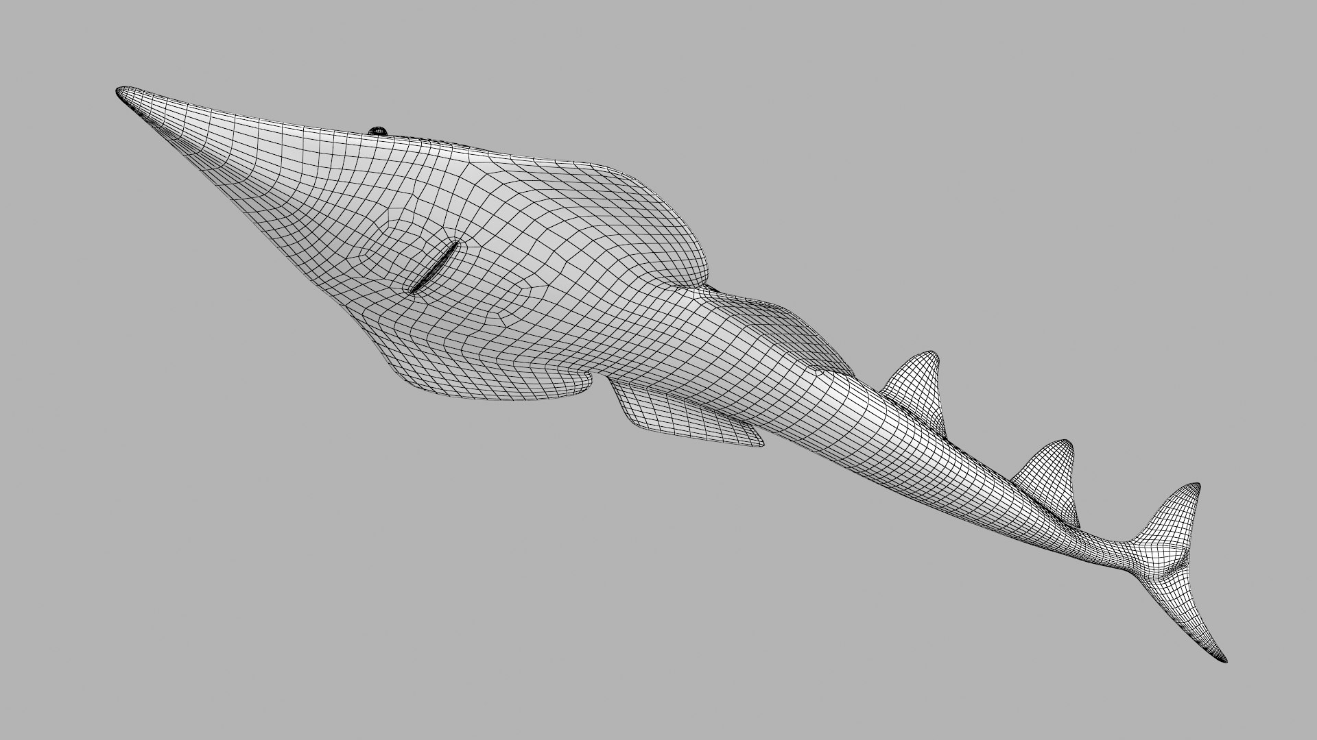 Giant Shovelnose 3D Model - TurboSquid 1456607